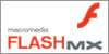 Flash MX